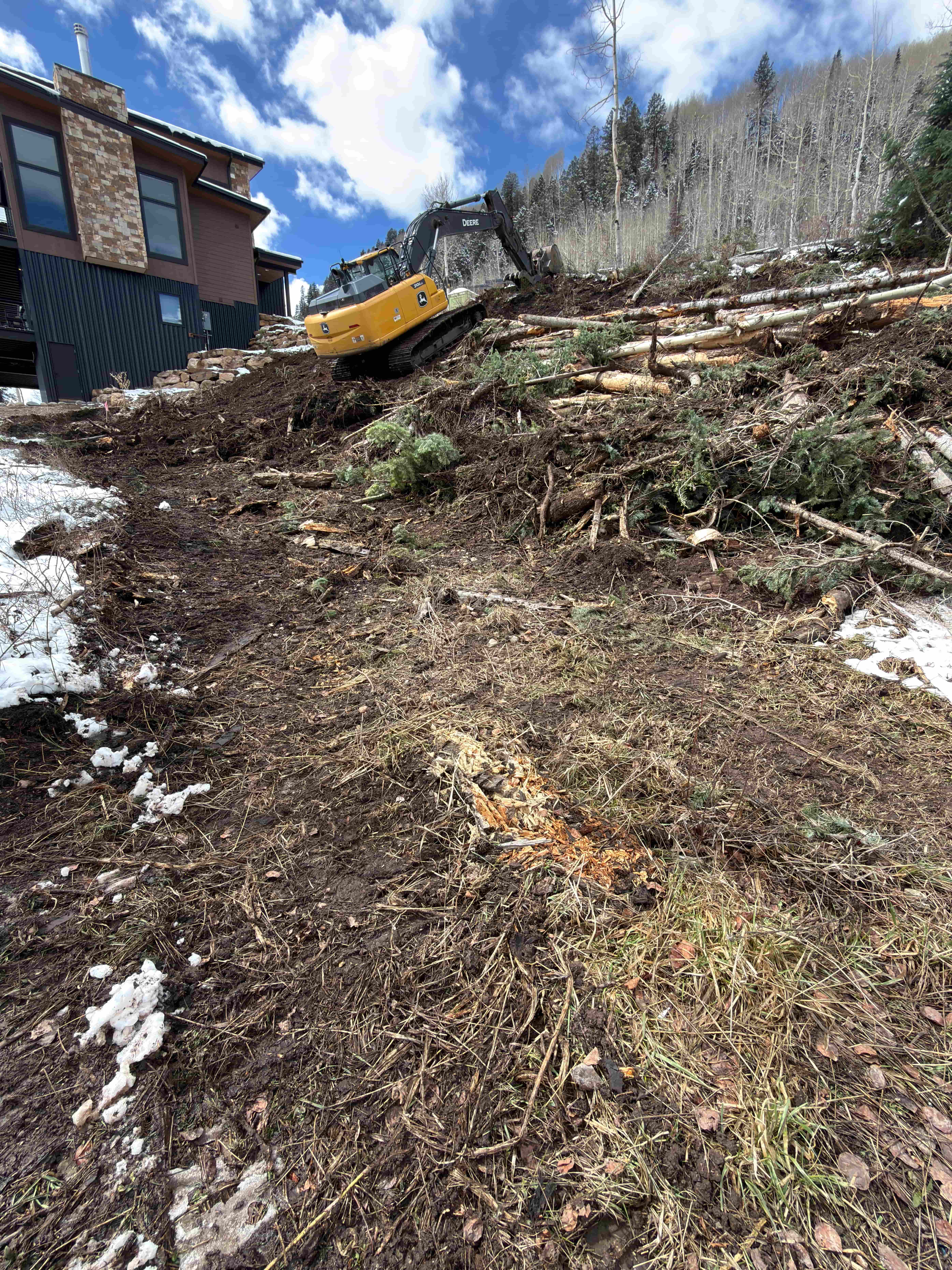 Land clearing at Purgatory